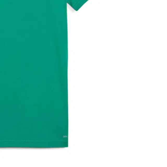 PUMA logoT