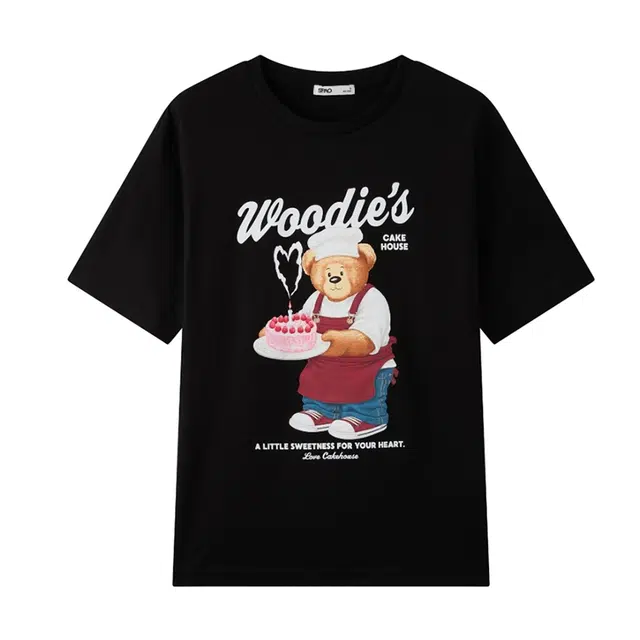 SPAO T