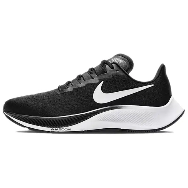 Nike Pegasus 37