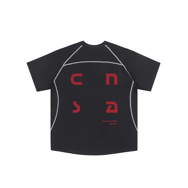 FEAROM T