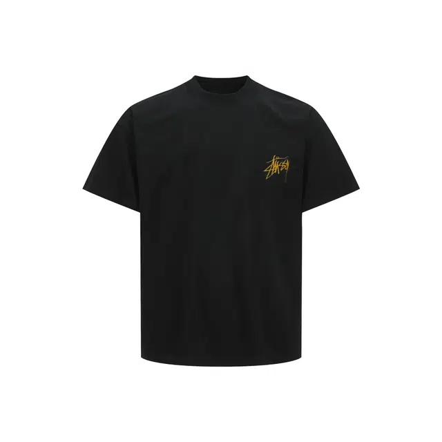 PAINT STAIN T