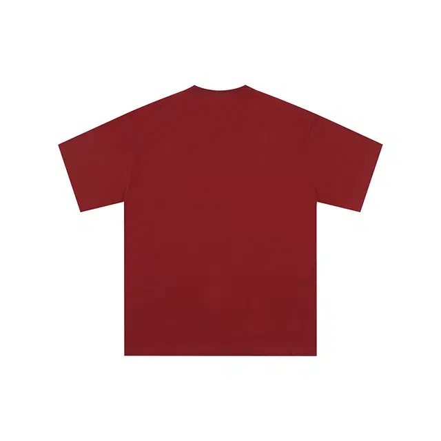 FEAROM T