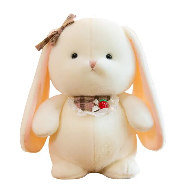 22cm