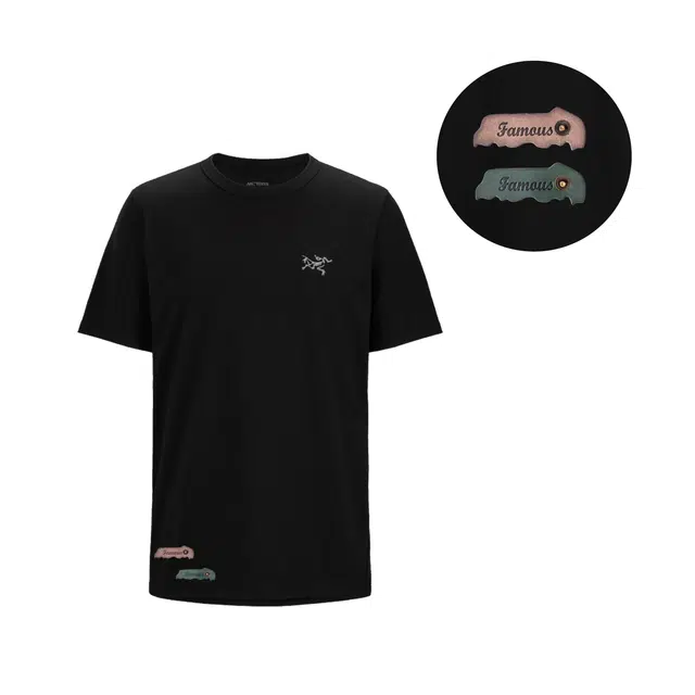 Arcteryx KRAGG T Black