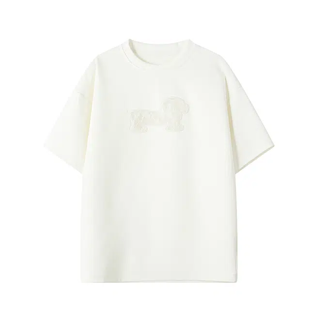 CTIDESTRAW T