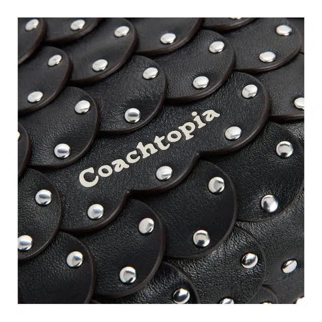 Coachtopia 27 Alter Ego Link