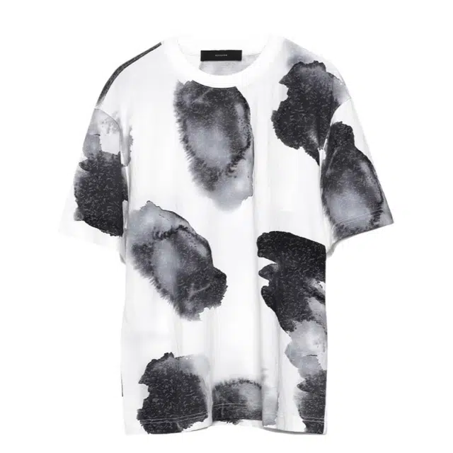 RAYSHOW T