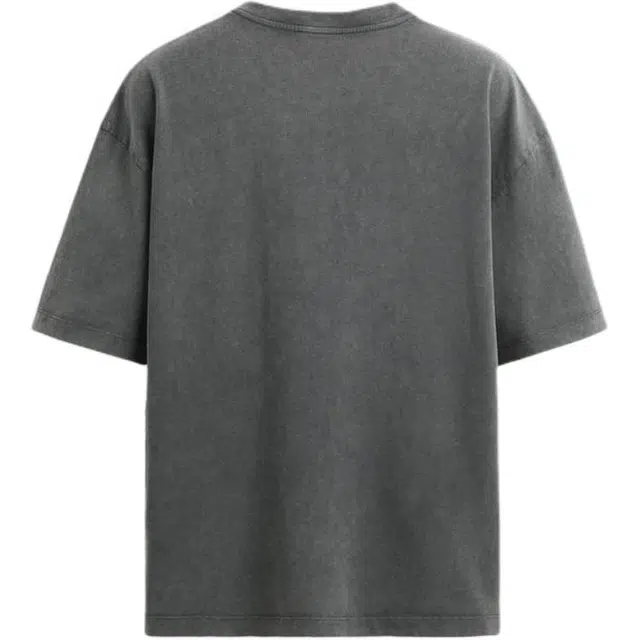 ZARA T