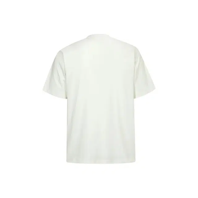 PVPVPV T