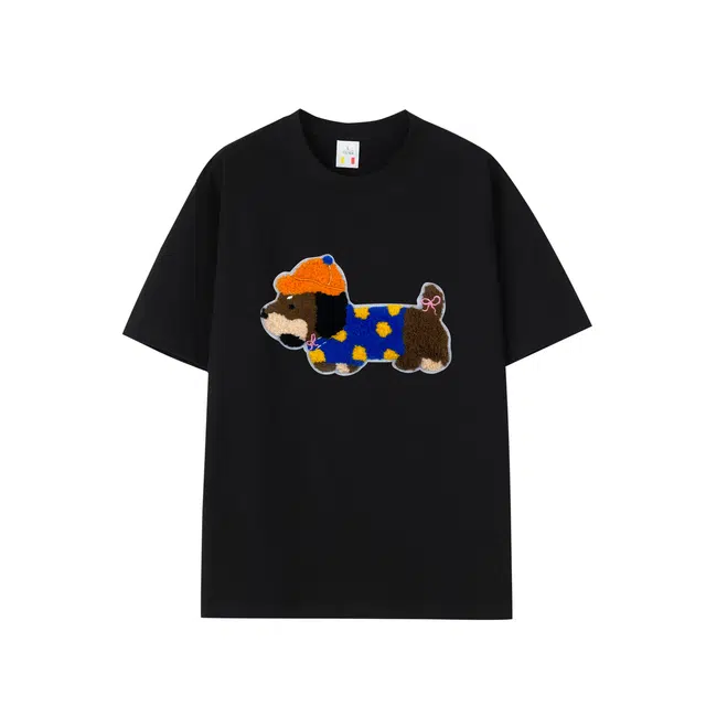HOKLV T
