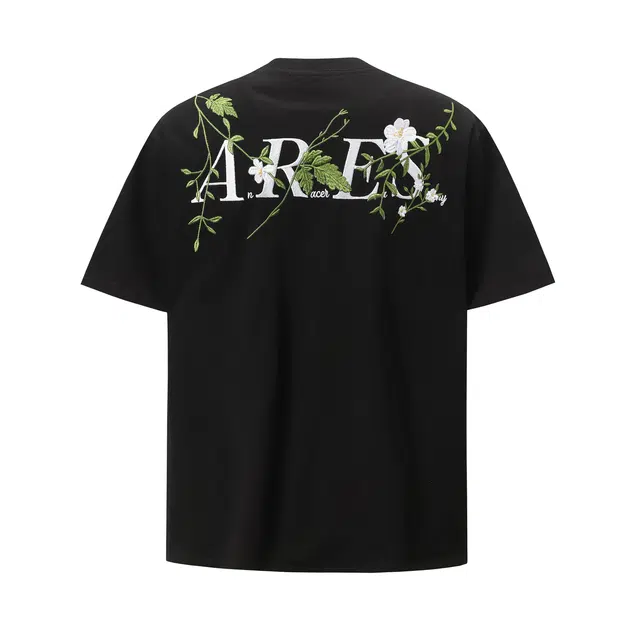 ECKCDS T