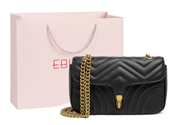EBLAN ins