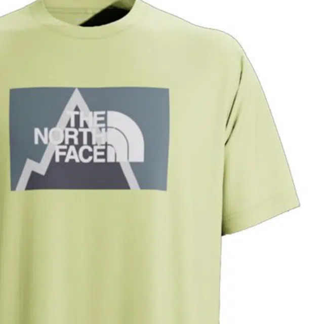 THE NORTH FACE SS22 LogoT