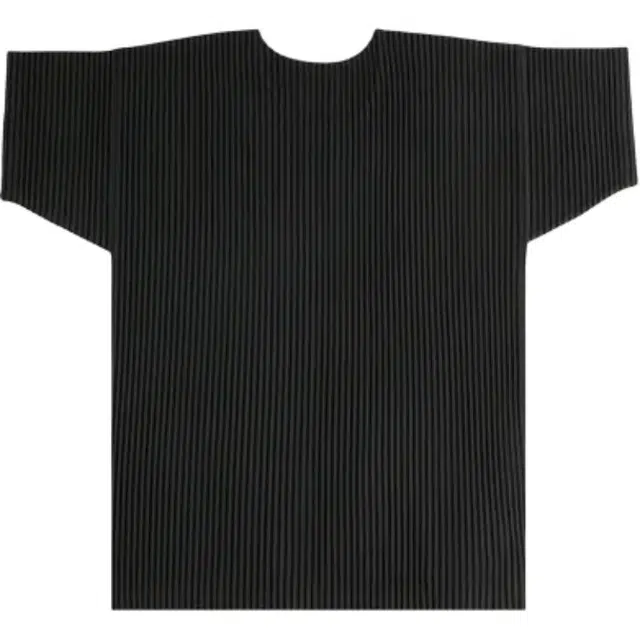 Homme Pliss Issey Miyake T