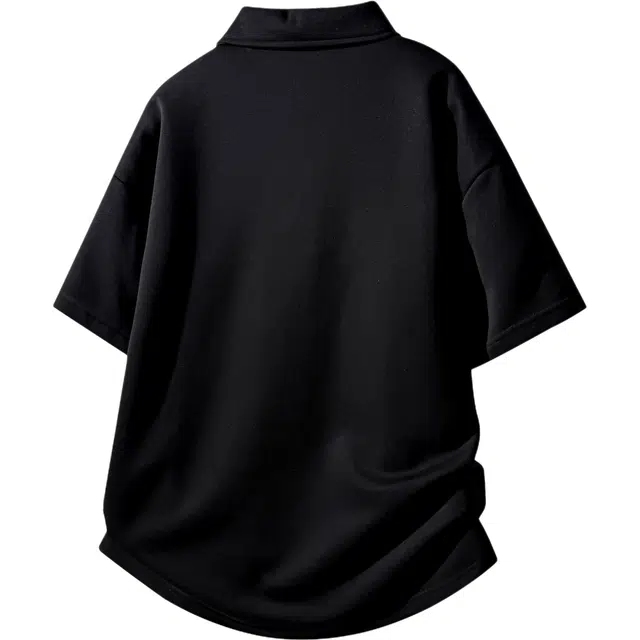 INS Polo