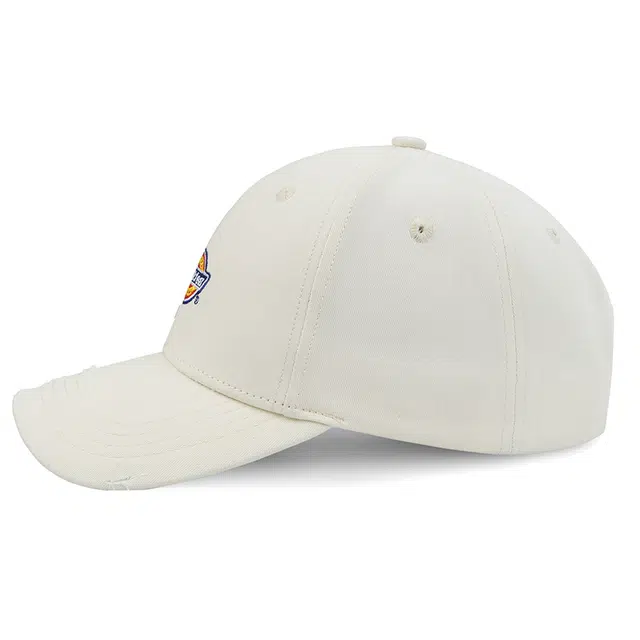 Dickies logo