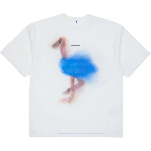 ADER ERROR T