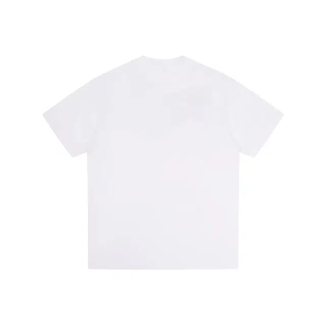 PVPVPV T