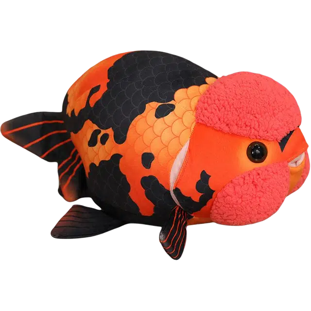 50cm