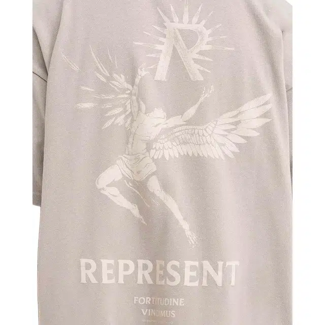 REPRESENT T