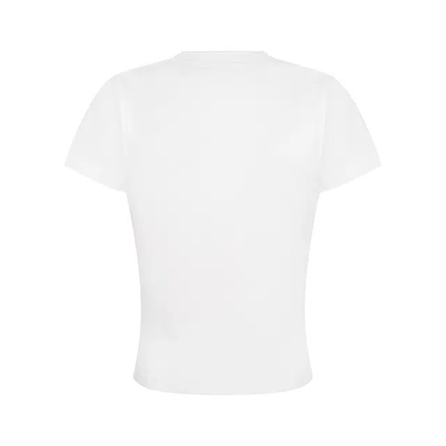 AMUNITS T