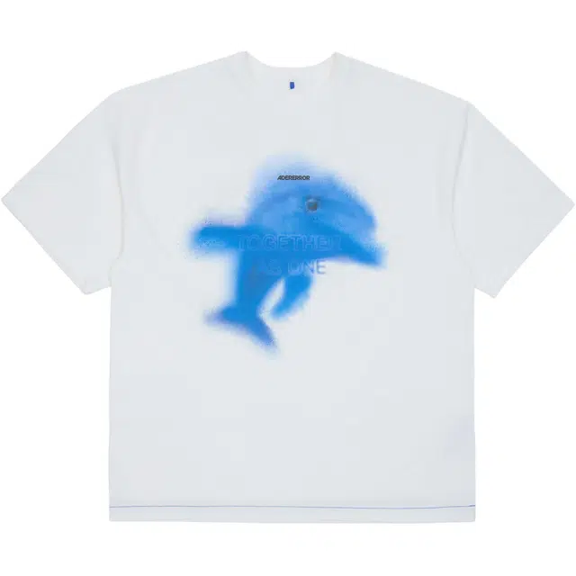 ADER ERROR T