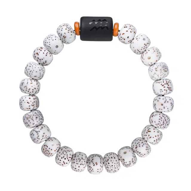 素于 新中式国潮文玩简约百搭轻奢高级感十二星座佛珠财源滚滚 诸事顺利蒸蒸日上平安喜乐复古念珠#好运 星月菩提 手串 男女同款情侣款