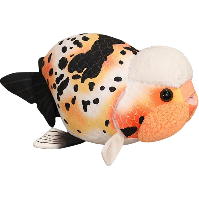 50cm