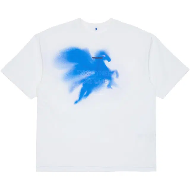 ADER ERROR T