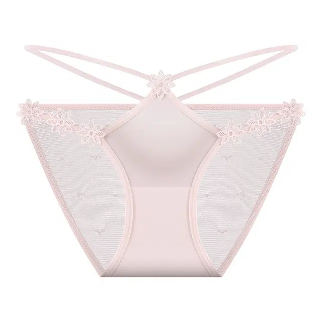 俞兆林 薄款性感蕾丝低腰三角抑菌内裤 女款 组合装