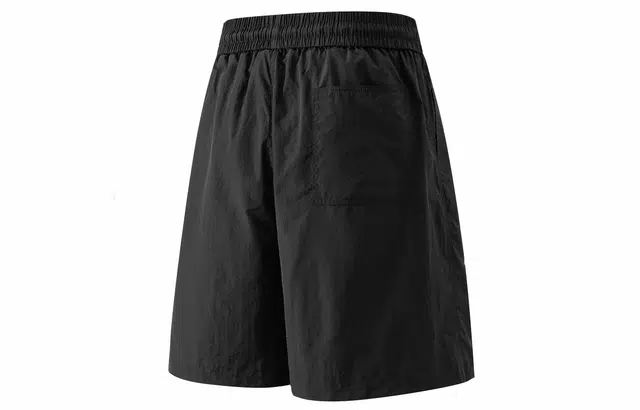PAEFA logocleanfit