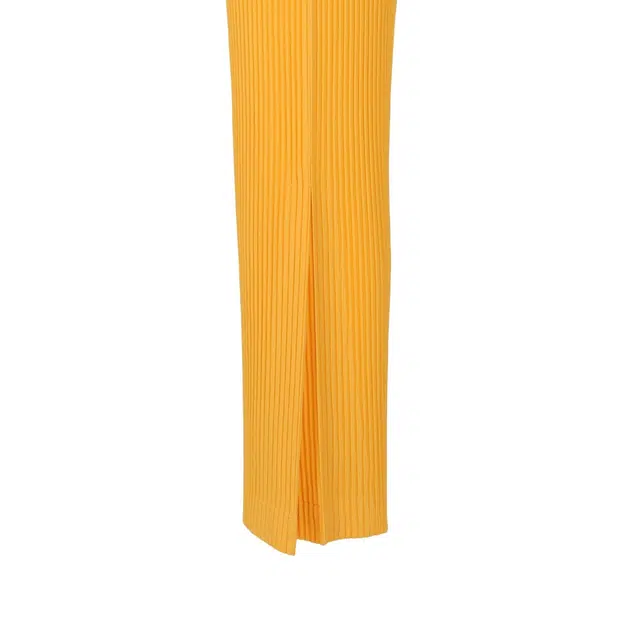 Homme Pliss Issey Miyake
