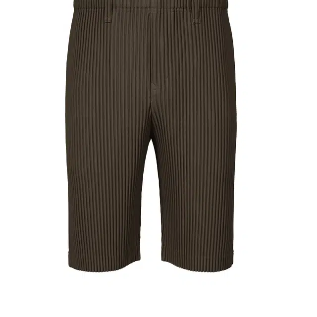 Homme Pliss Issey Miyake