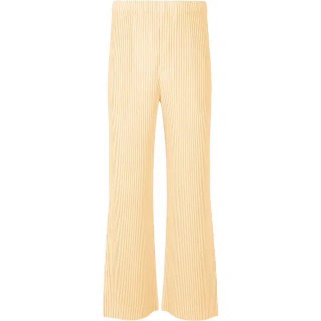 Homme Pliss Issey Miyake