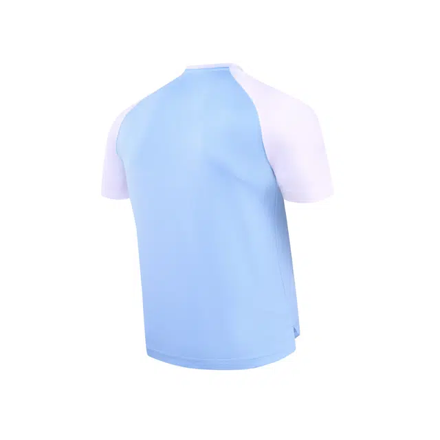 SALICHI