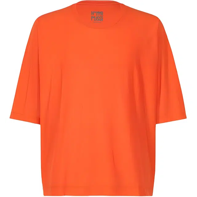 Homme Pliss Issey Miyake T