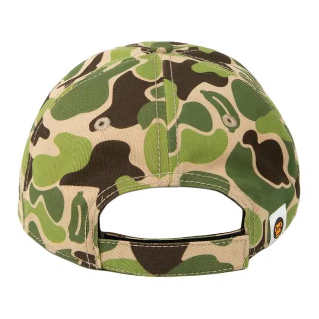 Aape