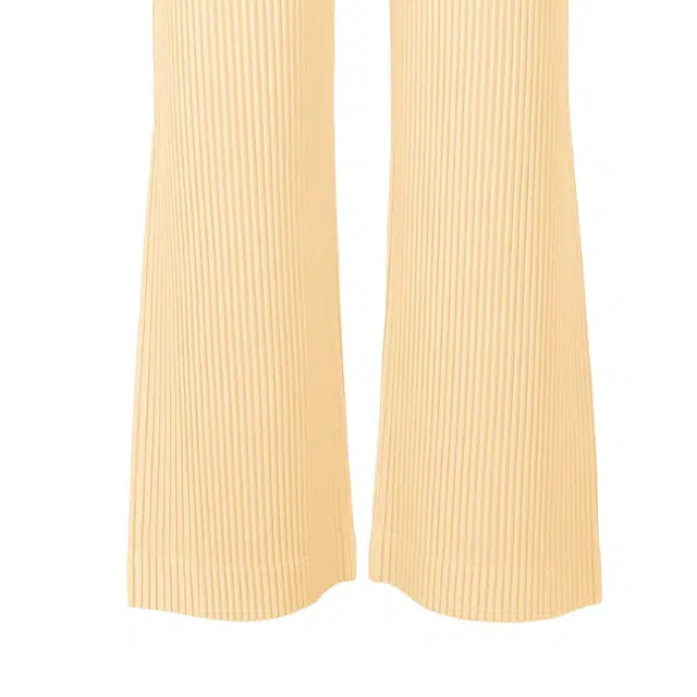 Homme Pliss Issey Miyake