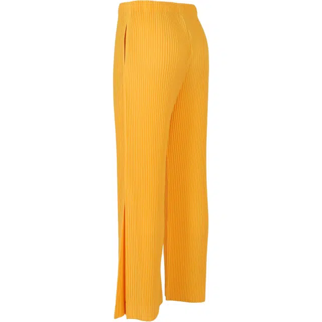 Homme Pliss Issey Miyake