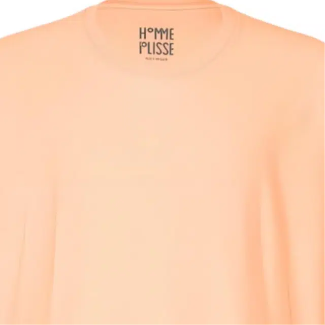 Homme Pliss Issey Miyake T