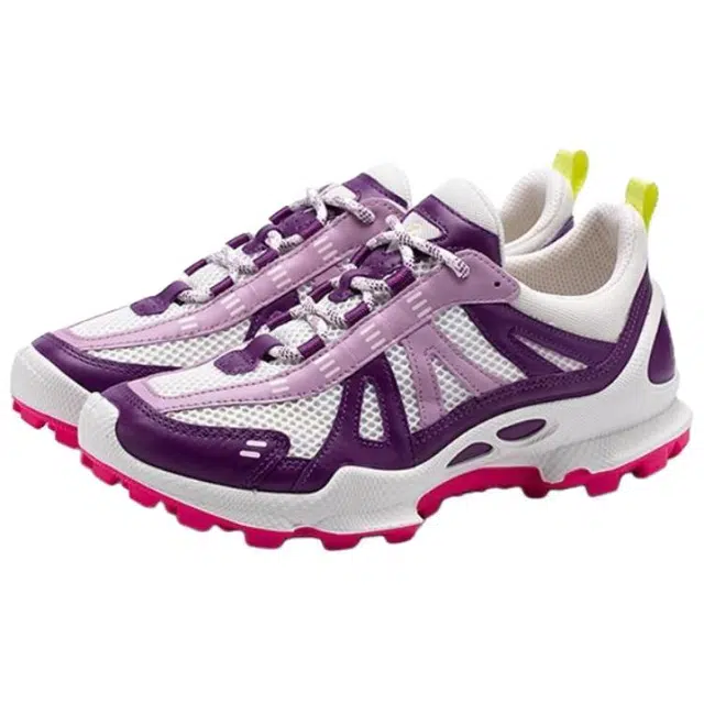 ecco Biom C Trail