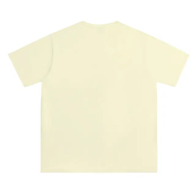 PAINT STAIN T