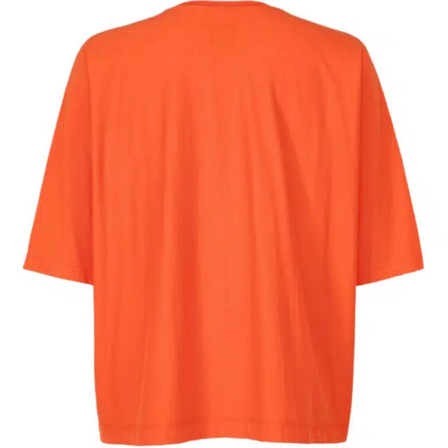Homme Pliss Issey Miyake T