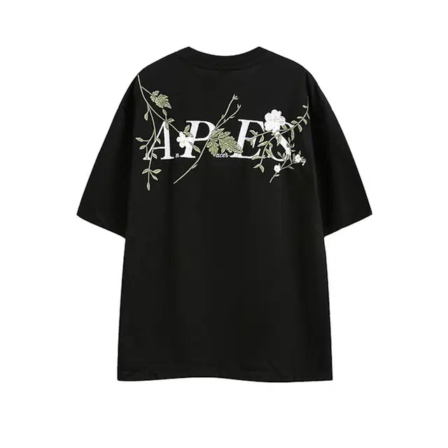 VERAF CA T