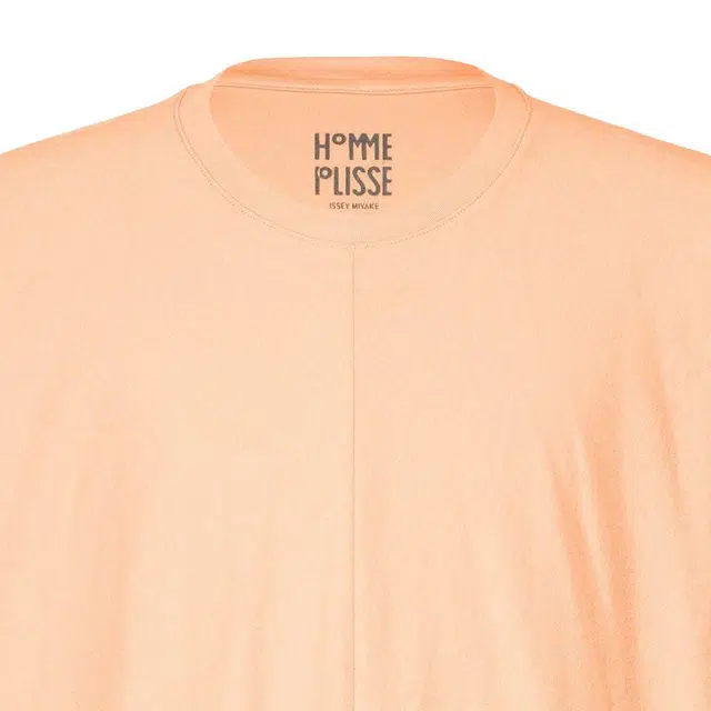 Homme Pliss Issey Miyake T