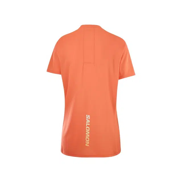 SALOMON T