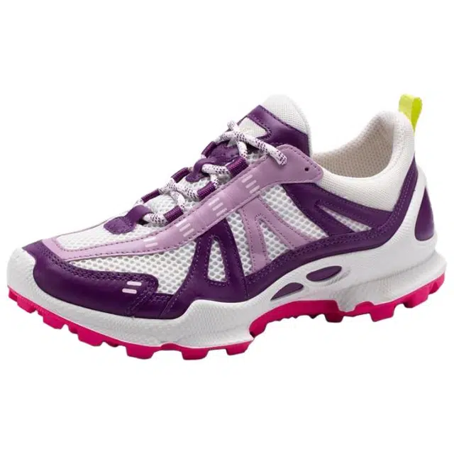 ecco Biom C Trail