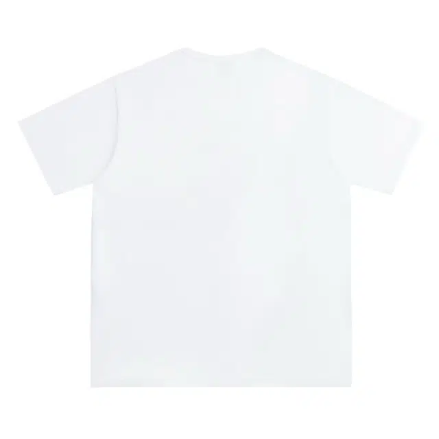 PAINT STAIN T