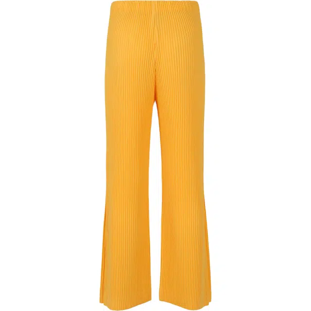 Homme Pliss Issey Miyake