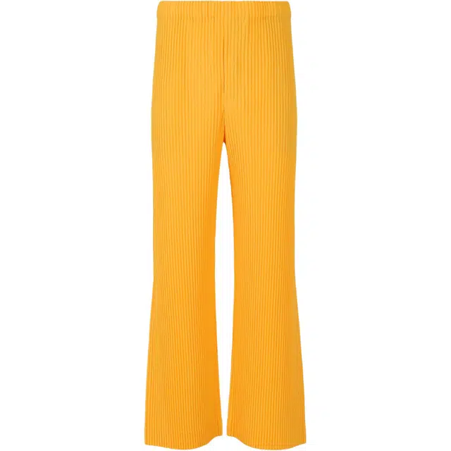 Homme Pliss Issey Miyake